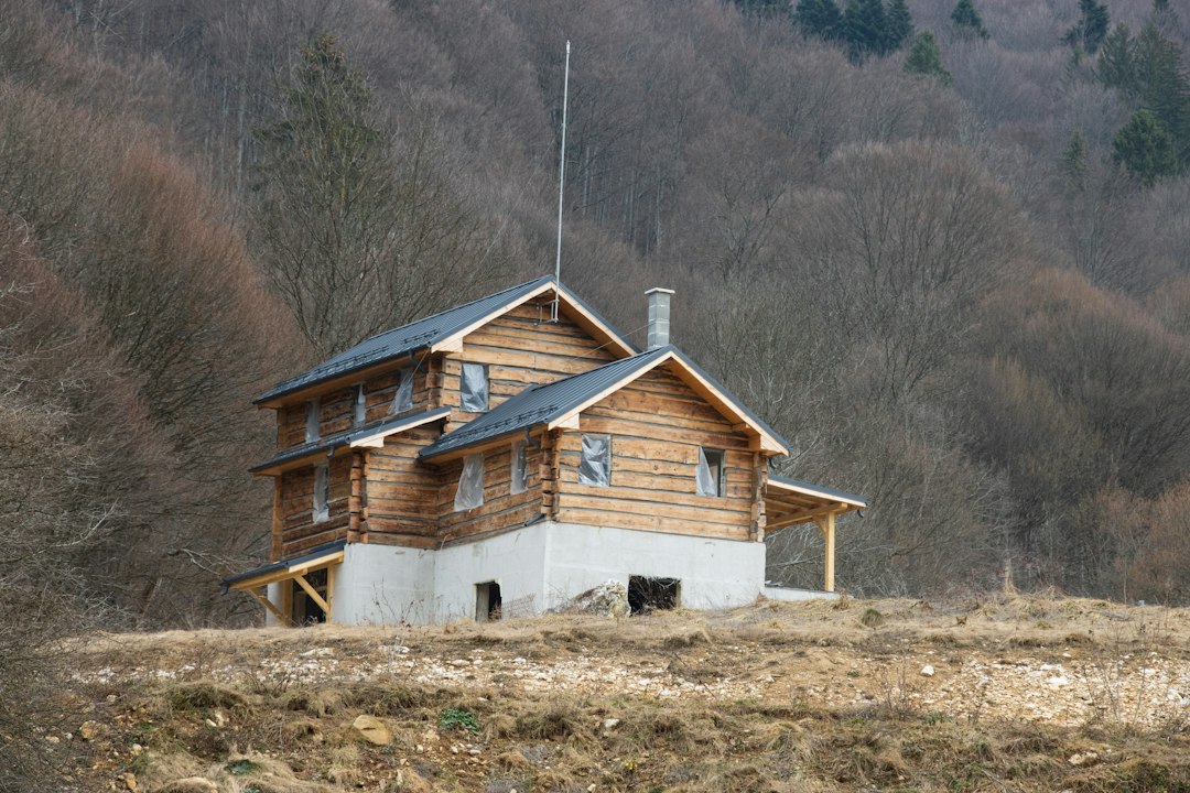 Locuințe individuale și urbanism în România